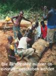 bild22.jpg --- erstellt mit  - www.abbe-felix.de